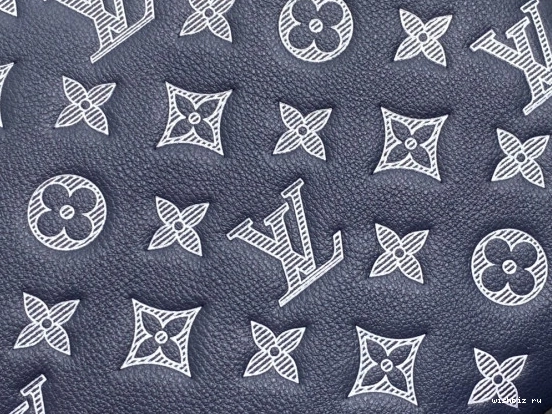 WIS TO-GO-30*21.5*2cm VUITTON LOUIS POCHETTE 0831